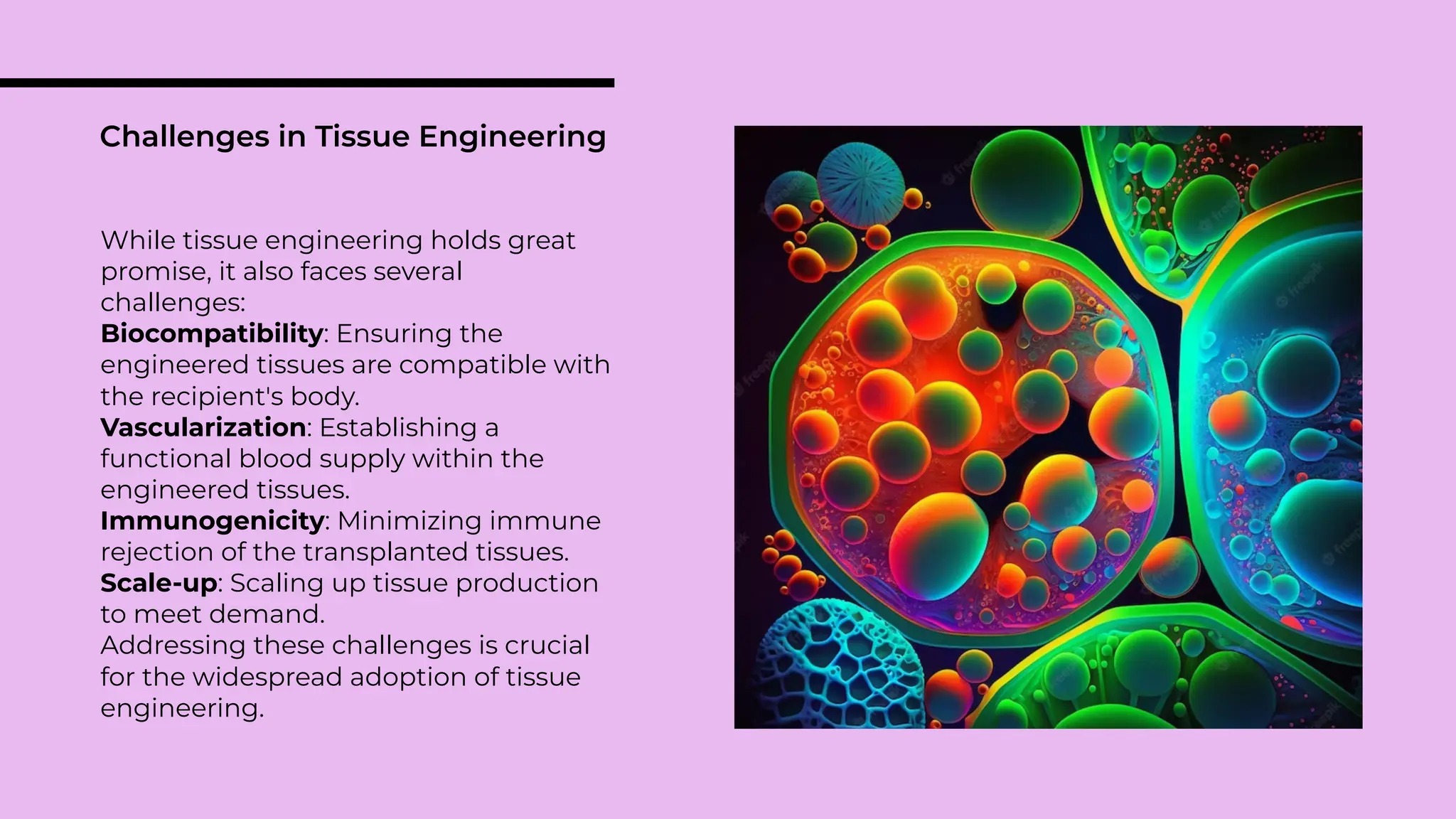 pavithira.m 20tj0034 tissue engineering ppt 1.pdf