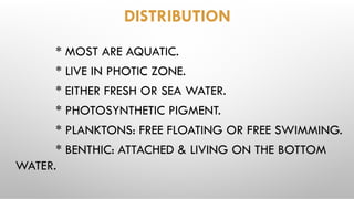 DISTRIBUTION
* MOST ARE AQUATIC.
* LIVE IN PHOTIC ZONE.
* EITHER FRESH OR SEA WATER.
* PHOTOSYNTHETIC PIGMENT.
* PLANKTONS: FREE FLOATING OR FREE SWIMMING.
* BENTHIC: ATTACHED & LIVING ON THE BOTTOM
WATER.
 