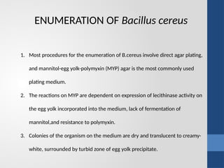 PAVITHRA V INTERNSHIP-Enumeration of microbes PPT.pptx