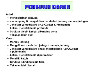 PEMBULUH DARAHPEMBULUH DARAH
• Arteri :
– meninggalkan jantung,
– menampung & mengalirkan darah dari jantung menuju jaringan
– Jenis zat yang dibawa : (t.u O2) kcl a. Pulmonalis
– Lokasi : terletak lebih profunda
– Struktur : lebih kenyal dibanding vena
– Tekanan lebih kuat
• Vena :
– Menuju jantung
– Mengalirkan darah dari jaringan menuju jantung
– Jenis zat yang dibawa : hasil metabolisme (t.u CO2) kcl
v.pulmonalis
– Lokasi : terletak lebih dipermukaan
– Memiliki katub
– Struktur : dinding lebih tipis
– Tekanan lebih lemah
 
