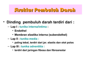 • Dinding pembuluh darah terdiri dari :
– Lap I : tunika interna/intima :
• Endothel
• Membran elastika interna (subendothel)
– Lap II : tunika media :
• paling tebal, terdiri dari jar. elastis dan otot polos
– Lap III : tunika adventitia :
• terdiri dari jaringan fibosa dan fibroareolar
Struktur Pembuluh DarahStruktur Pembuluh Darah
 