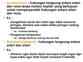 • Anastomosis : hubungan langsung antara arteri
dan vena tanpa melalui kapiler yang bertujuan
untuk memperpendek hubungan antara arteri
dan vena,
• Fx :
– mengalirkan darah dari arteri agar tidak masuk ke
jaringan, diantara sela waktu ketika jaringan sedang
beristirahat
• ex : mukosa lambung
– Pengaturan temperatur
• ex: telinga eksterna, hidung dan jari kaki
• Sirkulasi Collateral : hubungan langsung antara
arteri dan arteri
• Fx :
– efisiensi, agar darah dapat mencapai target organ dgn
tepat waktu agar tidak terjadi ischemianekrotik
 