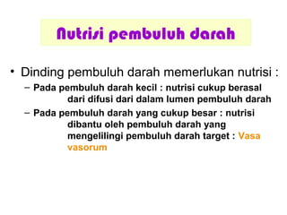 Nutrisi pembuluh darah
• Dinding pembuluh darah memerlukan nutrisi :
– Pada pembuluh darah kecil : nutrisi cukup berasal
dari difusi dari dalam lumen pembuluh darah
– Pada pembuluh darah yang cukup besar : nutrisi
dibantu oleh pembuluh darah yang
mengelilingi pembuluh darah target : Vasa
vasorum
 