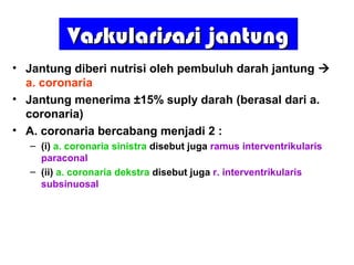 Vaskularisasi jantungVaskularisasi jantung
• Jantung diberi nutrisi oleh pembuluh darah jantung 
a. coronaria
• Jantung menerima ±15% suply darah (berasal dari a.
coronaria)
• A. coronaria bercabang menjadi 2 :
– (i) a. coronaria sinistra disebut juga ramus interventrikularis
paraconal
– (ii) a. coronaria dekstra disebut juga r. interventrikularis
subsinuosal
 