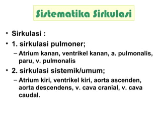 Sistematika Sirkulasi
• Sirkulasi :
• 1. sirkulasi pulmoner;
– Atrium kanan, ventrikel kanan, a. pulmonalis,
paru, v. pulmonalis
• 2. sirkulasi sistemik/umum;
– Atrium kiri, ventrikel kiri, aorta ascenden,
aorta descendens, v. cava cranial, v. cava
caudal.
 