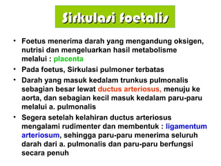 Sirkulasi foetalisSirkulasi foetalis
• Foetus menerima darah yang mengandung oksigen,
nutrisi dan mengeluarkan hasil metabolisme
melalui : placenta
• Pada foetus, Sirkulasi pulmoner terbatas
• Darah yang masuk kedalam trunkus pulmonalis
sebagian besar lewat ductus arteriosus, menuju ke
aorta, dan sebagian kecil masuk kedalam paru-paru
melalui a. pulmonalis
• Segera setelah kelahiran ductus arteriosus
mengalami rudimenter dan membentuk : ligamentum
arteriosum, sehingga paru-paru menerima seluruh
darah dari a. pulmonalis dan paru-paru berfungsi
secara penuh
 