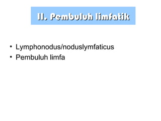 II. Pembuluh limfatikII. Pembuluh limfatik
• Lymphonodus/noduslymfaticus
• Pembuluh limfa
 