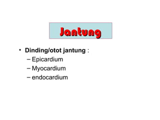 • Dinding/otot jantung :
– Epicardium
– Myocardium
– endocardium
JJantungantung
 