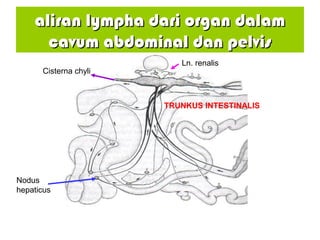 aliran lympha dari organ dalaliran lympha dari organ dalaamm
cavum abdominal dan pelviscavum abdominal dan pelvis
Cisterna chyli
Ln. renalis
Nodus
hepaticus
TRUNKUS INTESTINALIS
 