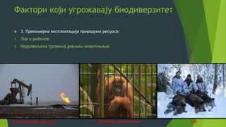 Фактори који угрожавају биодиверзитет
 3. Прекомерна експлоатација природних ресурса:
1. Лов и риболов
2. Недозвољена трговина дивљим животињама
ловТрговина зивотињамаЕксплотација ресурса
 