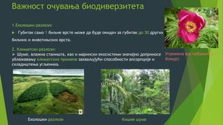Важност очувања биодиверзитета
1.Еколошки разлози:
 Губитак само 1 биљне врсте може да буде окидач за губитак до 30 других
биљних и животињских врста.
2. Климатски разлози:
 Шуме, влажна станишта, као и марински екосистеми значајно доприносе
ублажавању климатских промена захваљујући способности апсорпције и
складиштења угљеника.
Еколошки разлози Кишне шуме
Угрожена врста(Банатски
божур)
 