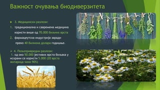 Важност очувања биодиверзитета
 3. Медицински разлози:
1. традиционална и савремена медицина
користи више од 70.000 биљних врста
2. фармацеутска индустрија заради
преко 40 билиона долара годишње.
 4. Пољопривредни разлози:
1. од око 50.000 јестивих врста биљака у
исхрани се користи 5.000 (20 врста
житарица чини 90%)
 