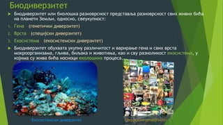  Биодиверзитет или биолошка разноврсност представља разноврсност свих живих бића
на планети Земљи, односно, свеукупност:
1. Гена - (генетички диверзитет)
2. Врста – (специјски диверзитет)
3. Екосистема – (екосистемски диверзитет)
 Биодиверзитет обухвата укупну различитост и варирање гена и свих врста
мокроорганизама, гљива, биљака и животиња, као и сву разноликост екосистема, у
којима су жива бића носиоци еколошких процеса.
Екосистемски диверзитет Специјски диверзитет
 