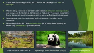  Према томе биолошку разноврсност све што нас окружује – од гена до
биосвере.
 Планета се од настанка живог света одликовала биолошком разноврсношћу,
која никад није била стална. Услед наглих промена у геолошкој прошлости
Земље долази до наглог изумирања врста, али и до биолошког обнављања.
 Изумирали су само они организми који нису имали способост да се
прилагоде.
 Биолошка разноврсност или биодиверзитет јесте еволутивни одговор на
непрестану промењивост услова средине.
Врста којој прети изумиранје (панда)Изумрле врсте (диносаурси) Биолошка разноврсност
 