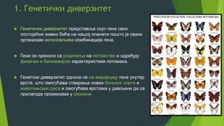 1. Генетички диверзитет
 Генетички диверзитет представља скуп гена свих
постојећих живих бића на нашој планети пошто је сваки
организам непоновљива комбинација гена.
 Гени се преносе са родитеља на потомство и одређују
физички и биохемијске карактеристике потомака.
 Генетски диверзитет односи се на варијацију гена унутар
врсте, што омогућава стварање нових биљних сорти и
животињских раса и омогућава врстама у дивљини да се
прилагоде променама у околини.
 
