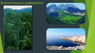 Екосистемски диверзитет
 