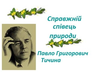 Справжній 
співець 
природи 
Павло Григорович 
Тичина 
 