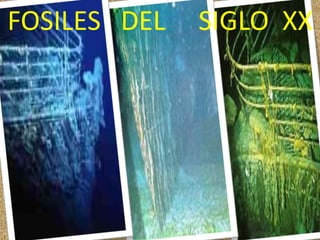 FOSILES   DEL     SIGLO  XX