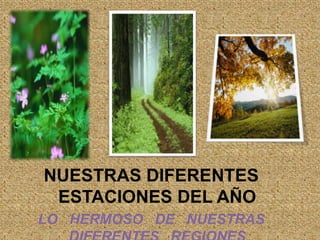 NUESTRAS DIFERENTES  ESTACIONES DEL AÑOLO   HERMOSO   DE   NUESTRAS   DIFERENTES   REGIONES  EN    CADA    ESTACION    DEL   AÑOOAXACA 