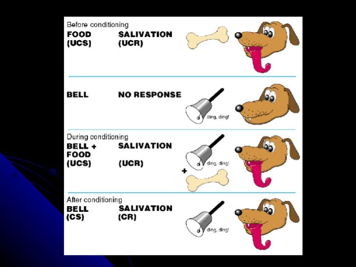 Ivan Pavlov