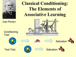 Classical Conditioning:
                   The Elements of
                 Associative Learning
Ivan Pavlov



 Conditioning
 Trial:

                                    Salivation


 Test Trial:                Salivation
 