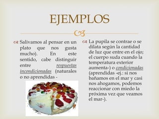 
EJEMPLOS
 Salivamos al pensar en un
plato que nos gusta
mucho). En este
sentido, cabe distinguir
entre respuestas
incondicionadas (naturales
o no aprendidas -
 La pupila se contrae o se
dilata según la cantidad
de luz que entre en el ojo;
el cuerpo suda cuando la
temperatura exterior
aumenta-) o condicionadas
(aprendidas -ej.: si nos
bañamos en el mar y casi
nos ahogamos, podemos
reaccionar con miedo la
próxima vez que veamos
el mar-).
 
