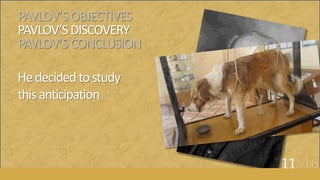 PAVLOV’SOBJECTIVES
PAVLOV’SDISCOVERY
PAVLOV’SCONCLUSION
Hedecidedtostudy
thisanticipation
11of16
 