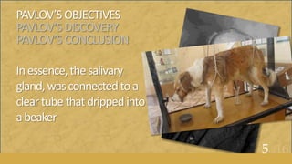 PAVLOV’SOBJECTIVES
PAVLOV’SDISCOVERY
PAVLOV’SCONCLUSION
Inessence,thesalivary
gland,wasconnectedtoa
cleartubethatdrippedinto
abeaker
5of16
 