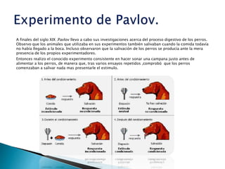 A finales del siglo XIX .Pavlov llevo a cabo sus investigaciones acerca del proceso digestivo de los perros.
Observo que los animales que utilizaba en sus experimentos también salivaban cuando la comida todavía
no había llegado a la boca. Incluso observaron que la salivación de los perros se producía ante la mera
presencia de los propios experimentadores.
Entonces realizo el conocido experimento consistente en hacer sonar una campana justo antes de
alimentar a los perros, de manera que, tras varios ensayos repetidos ,comprobó que los perros
comenzaban a salivar nada mas presentarle el estimulo.
 