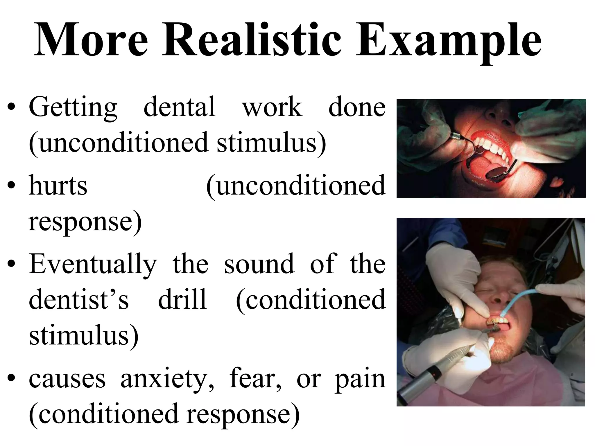 Pavlov Classical Conditioning.pdf