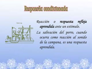 Respuesta condicionadaReacción o respuesta refleja aprendida ante un estímulo.La salivación del perro, cuando ocurra como reacción al sonido de la campana, es una respuesta aprendida.