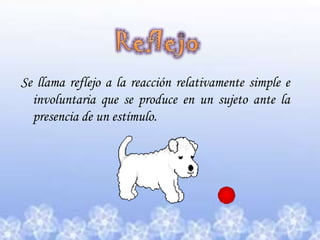 ReflejoSe llama reflejo a la reacción relativamente simple e involuntaria que se produce en un sujeto ante la presencia de un estímulo.
