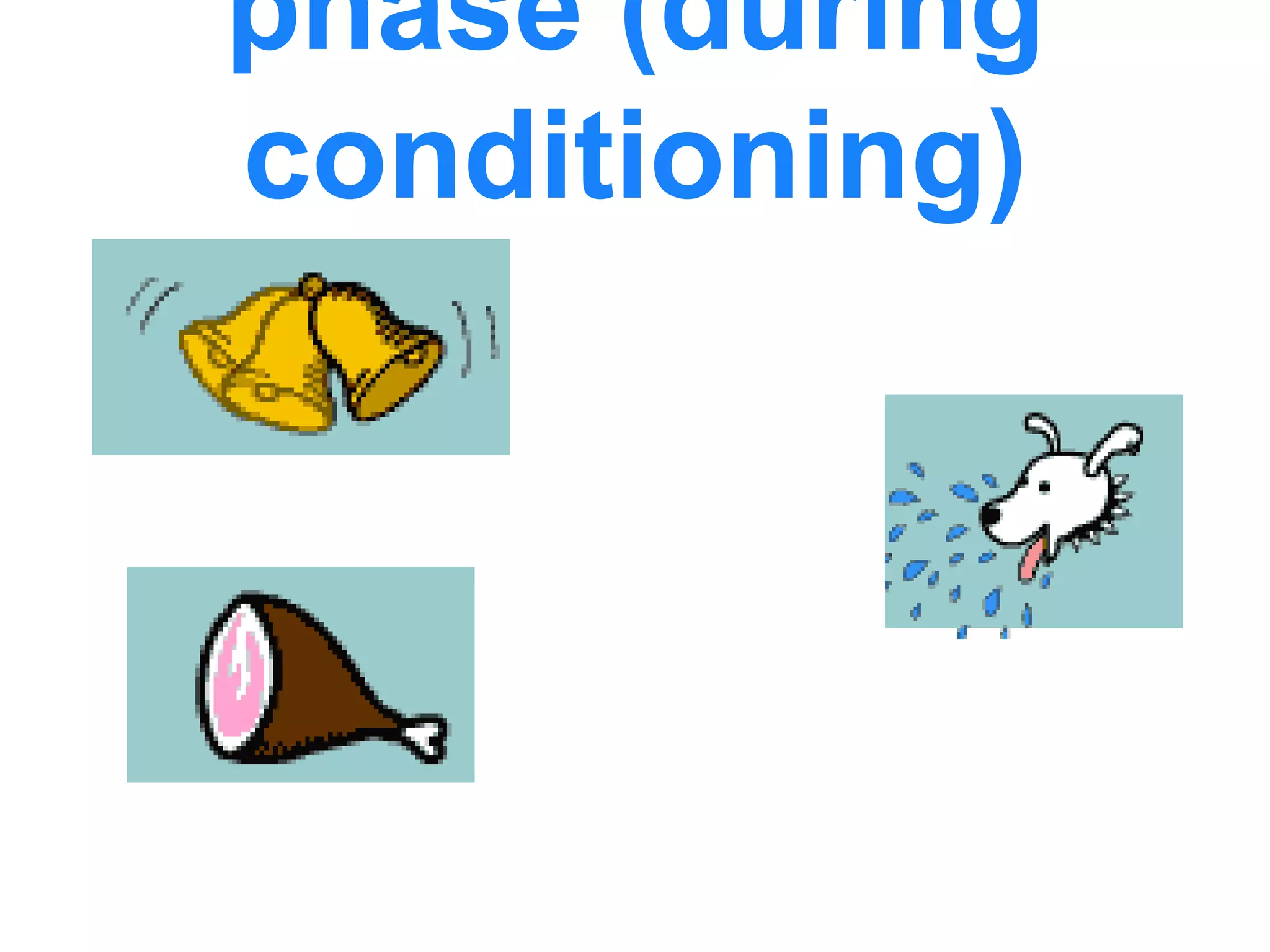 phase (during
conditioning)
 