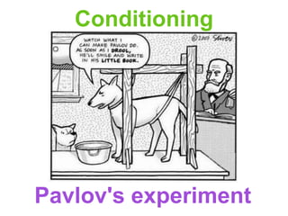 Conditioning




Pavlov's experiment
 