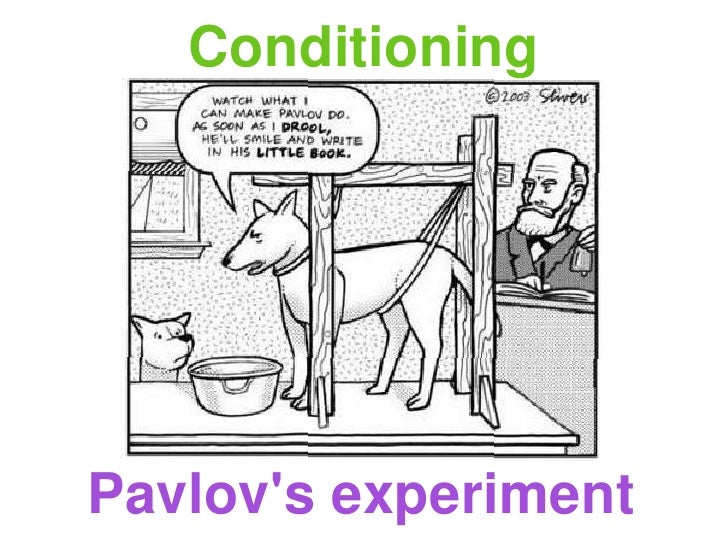 Pavlov's experiment VCE U4 Psych