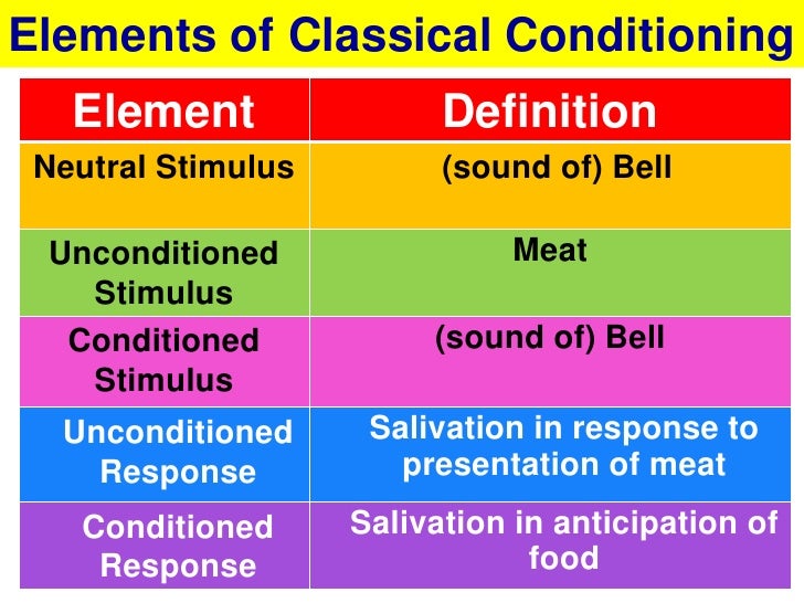 behaviourism classical conditioning and neutral stimulus Home behaviorism classical conditioning the neutral stimulus in classical conditioning does not produce a response until it is paired with the. behaviourism classical conditioning and neutral stimulus Home behaviorism classical conditioning the neutral stimulus in classical conditioning does not produce a response until it is paired with the.