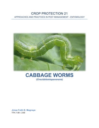 CROP PROTECTION 21
   APPROACHES AND PRACTICES IN PEST MANAGEMENT - ENTOMOLOGY




                   CABBAGE WORMS
                         (Crocidolomiapavonana)




Jimae Faith B. Magnaye
TTH; 1:00 – 2:00
 