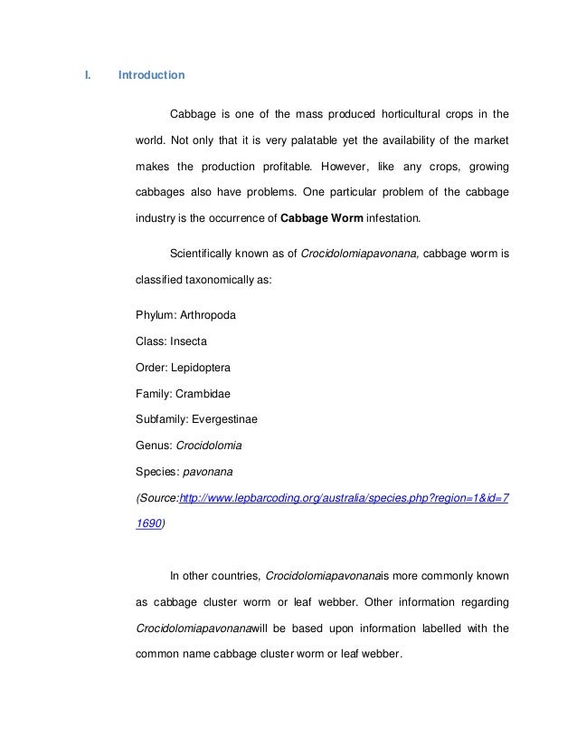 disciplinary write up forms