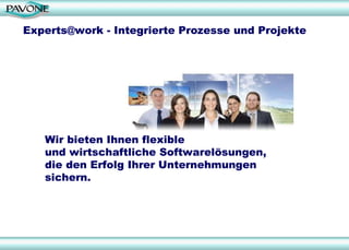 Experts@work - Integrierte Prozesse und Projekte Wir bieten Ihnen flexible  und wirtschaftliche Softwarelösungen,  die den Erfolg Ihrer Unternehmungen sichern.  
