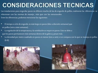 Las instalaciones para engordar pavos no difieren mucho de las de engorde de pollos, realmente las diferencias se
relacionan con las normas de manejo , más que con las estructurales.
Entrelasdiferencias, podemosmencionarlassiguientes:
• El tiempoociclodeengorde,es máslargoen pavos(diez adieciséissemanas)que
en pollos(seis asiete semanas).
• Laregulacióndela temperaturay laventilación esmayoren pavos.Estose debea
quelospavospermanecenmás semanasdentrodela galeray pesanmás.
• La densidad por metro cuadrado en pavos es menor (tres a seis), si se compara con la que se maneja en pollos
(6-8).
 
