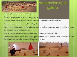 Preparación de la
galera
 Limpiar, lavar ydesinfectar las galeras.
 Encalar las paredes, pisos, techoypuertas.
 Limpiar, lavar ydesinfectar los equipos de alimentación ybebederos.
 Prepararuna cama nuevaylibre de polvos
 Cerrar bien el área de recibo, el centro de la galera es mejor para el recibo por que
allí secontrola la temperatura.
 Ubicar campanas, criadoraso puntos decalor para los pavipollos.
 Colocar corrales o círculos de lata galvanizada. Estos tienen unos 45 cm de altura.
Porcírculoseintroducenunos300 pavos, nomás.
 