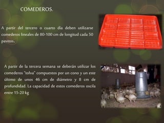 COMEDEROS.
A partir del tercero o cuarto día deben utilizarse
comederos lineales de 80-100 cm de longitud cada 50
pavitos.
A partir de la tercera semana se deberán utilizar los
comederos “tolva” compuestos por un cono y un este
último de unos 46 cm de diámetro y 8 cm de
profundidad. La capacidad de estos comederos oscila
entre15-20 kg
 