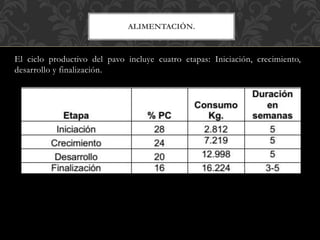 El ciclo productivo del pavo incluye cuatro etapas: Iniciación, crecimiento,
desarrollo y finalización.
ALIMENTACIÓN.
 