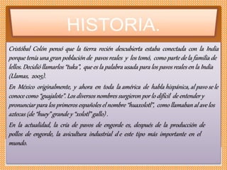 Cristóbal Colón pensó que la tierra recién descubierta estaba conectada con la India
porque tenía una gran población de pavos reales y los tomó, como parte de la familia de
lellos. Decidió llamarlos “tuka”, que es la palabra usada para los pavos reales en la India
(Llamas, 2005).
En México originalmente, y ahora en toda la américa de habla hispánica, al pavo se le
conoce como “guajalote”. Los diversos nombres surgieron por lo difícil de entender y
pronunciar para los primeros españoles el nombre “huaxolotl”, como llamaban al ave los
aztecas (de “huey” grande y “xolotl” gallo) .
En la actualidad, la cría de pavos de engorde es, después de la producción de
pollos de engorde, la avicultura industrial d e este tipo más importante en el
mundo.
 