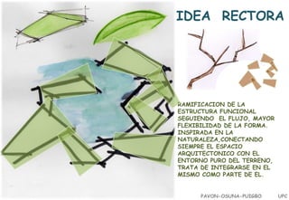 IDEA RECTORA

RAMIFICACION DE LA
ESTRUCTURA FUNCIONAL
SEGUIENDO EL FLUJO, MAYOR
FLEXIBILIDAD DE LA FORMA.
INSPIRADA EN LA
NATURALEZA,CONECTANDO
SIEMPRE EL ESPACIO
ARQUITECTONICO CON EL
ENTORNO PURO DEL TERRENO,
TRATA DE INTEGRARSE EN EL
MISMO COMO PARTE DE EL.
PAVON-OSUNA-PUIGBO

UPC

 