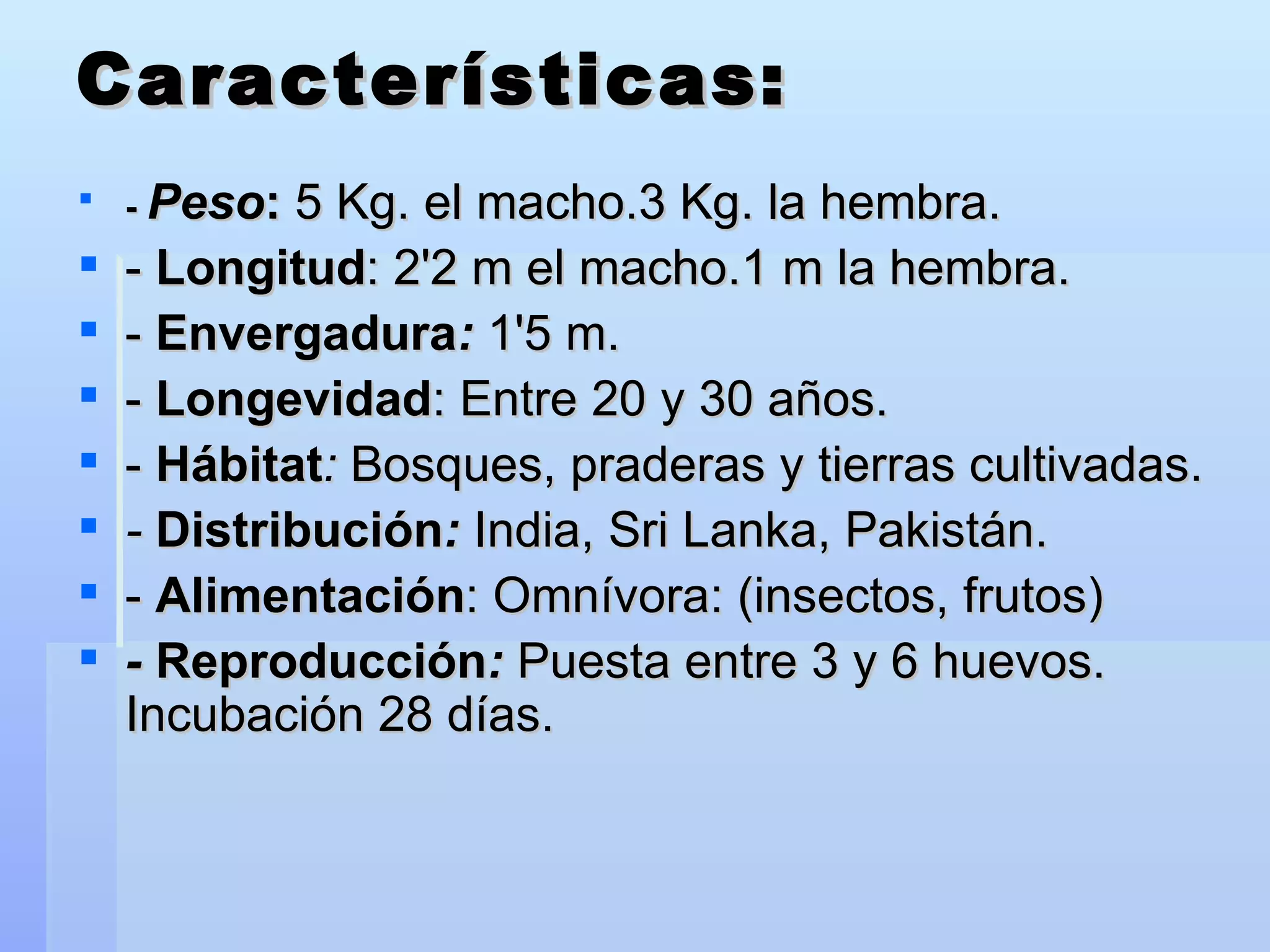 Características: -  Peso :  5 Kg. el macho.3 Kg. la hembra. -  Longitud : 2'2 m el macho.1 m la hembra. -  Envergadura :  1'5 m. -  Longevidad : Entre 20 y 30 años. -  Hábitat :  Bosques, praderas y tierras cultivadas. -   Distribución :   India, Sri Lanka, Pakistán.  -  Alimentación : Omnívora: (insectos, frutos) -  Reproducción :  Puesta entre 3 y 6 huevos. Incubación 28 días. 