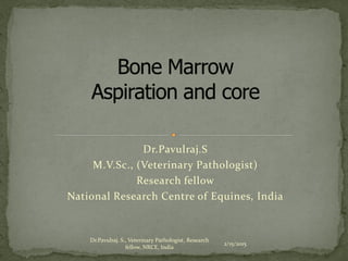 Dr.Pavulraj.S
M.V.Sc., (Veterinary Pathologist)
Research fellow
National Research Centre of Equines, India
2/15/2015
Dr.Pavulraj. S., Veterinary Pathologist, Research
fellow, NRCE, India
 