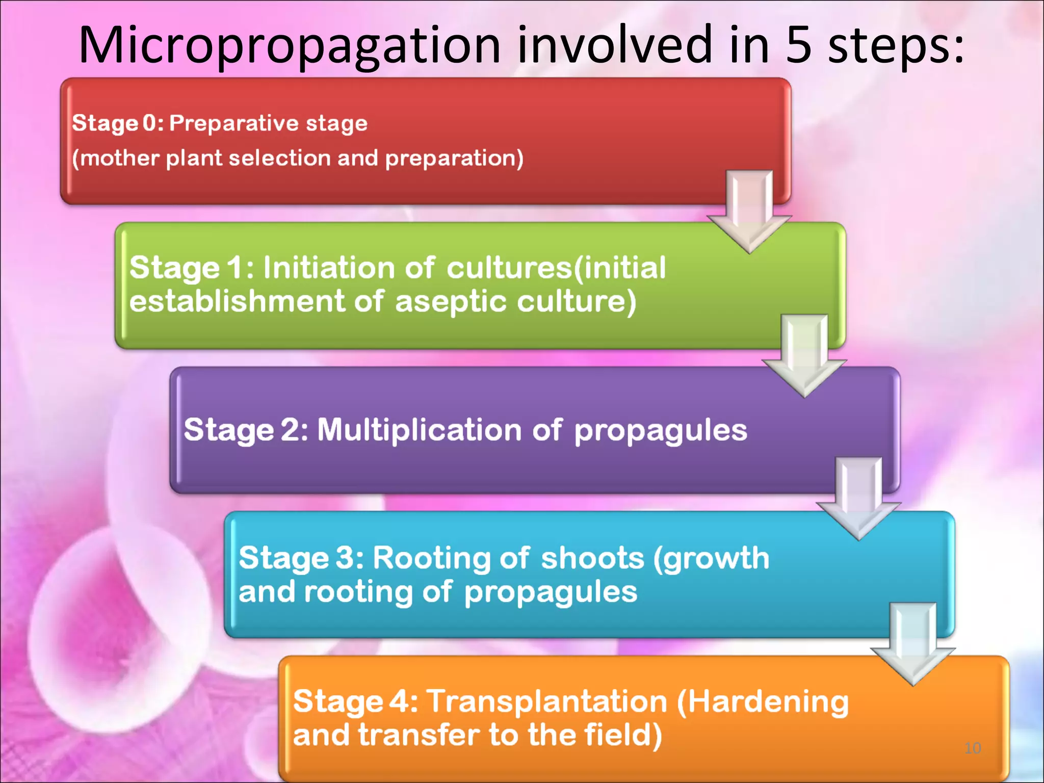 Micropropagation involved in 5 steps:
10
 