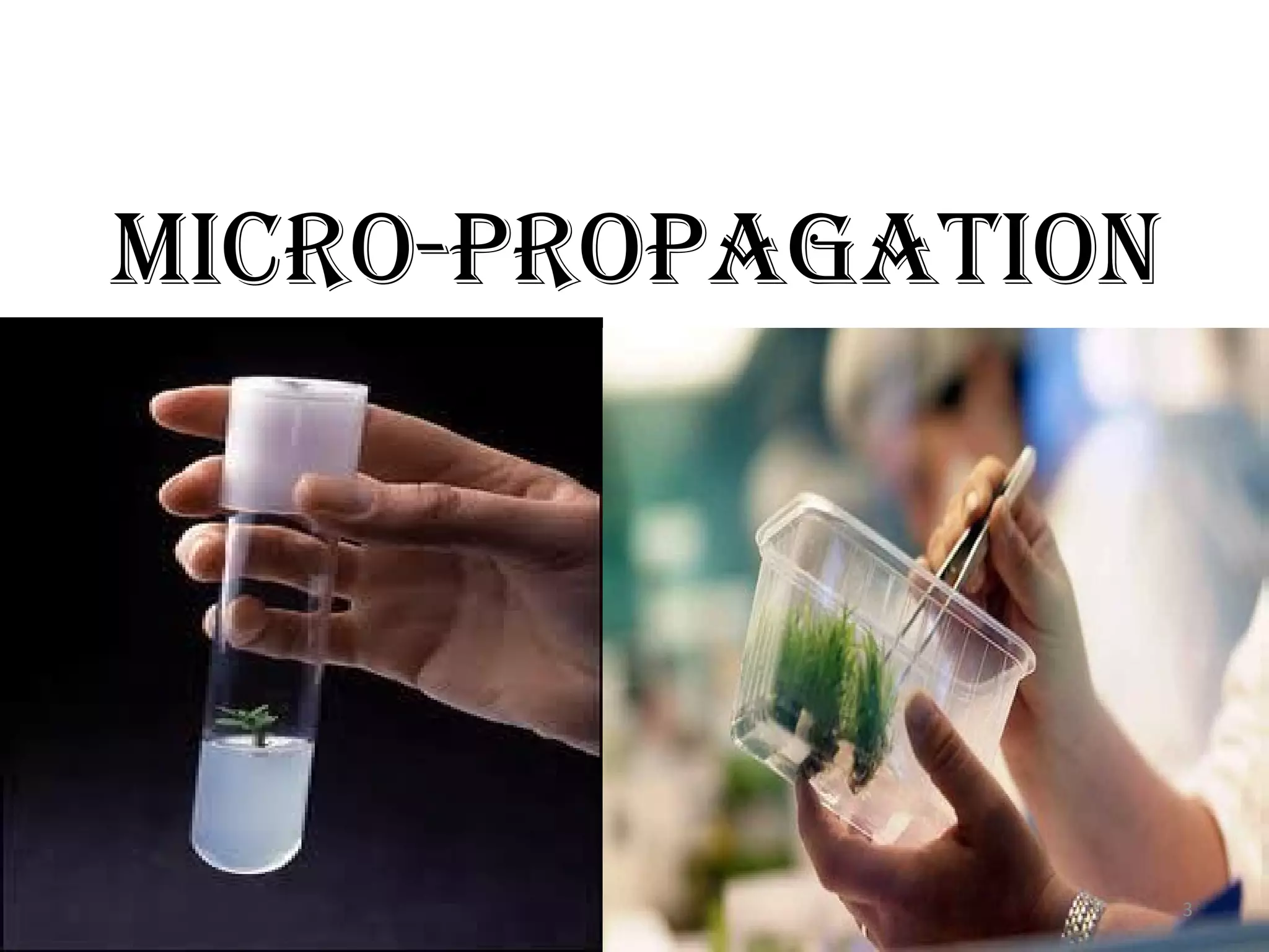 MiCro-ProPagaTioN
3
 