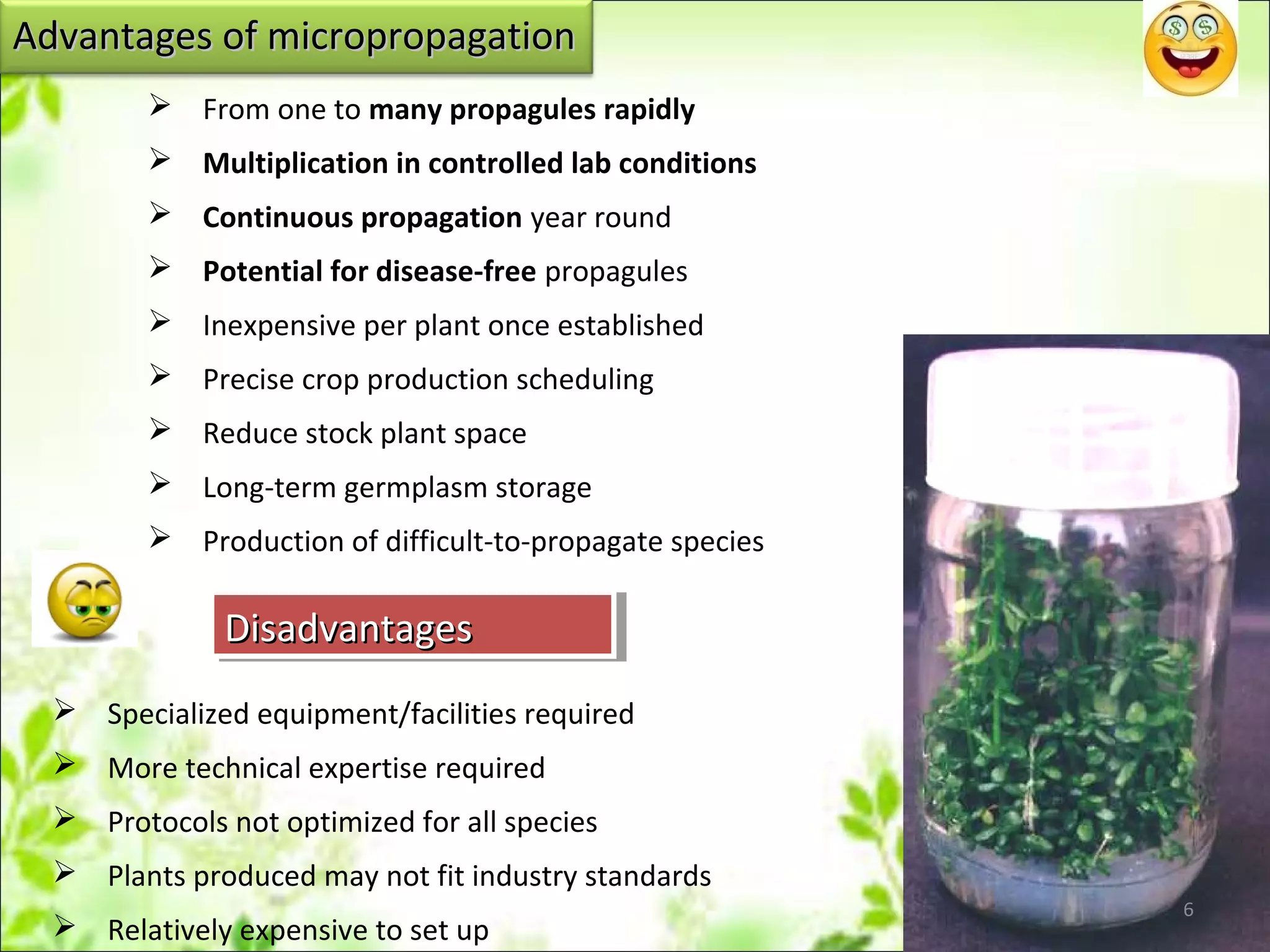 Advantages of micropropagationAdvantages of micropropagation
 From one to many propagules rapidly
 Multiplication in controlled lab conditions
 Continuous propagation year round
 Potential for disease-free propagules
 Inexpensive per plant once established
 Precise crop production scheduling
 Reduce stock plant space
 Long-term germplasm storage
 Production of difficult-to-propagate species
DisadvantagesDisadvantagesDisadvantagesDisadvantages
 Specialized equipment/facilities required
 More technical expertise required
 Protocols not optimized for all species
 Plants produced may not fit industry standards
 Relatively expensive to set up
6
 